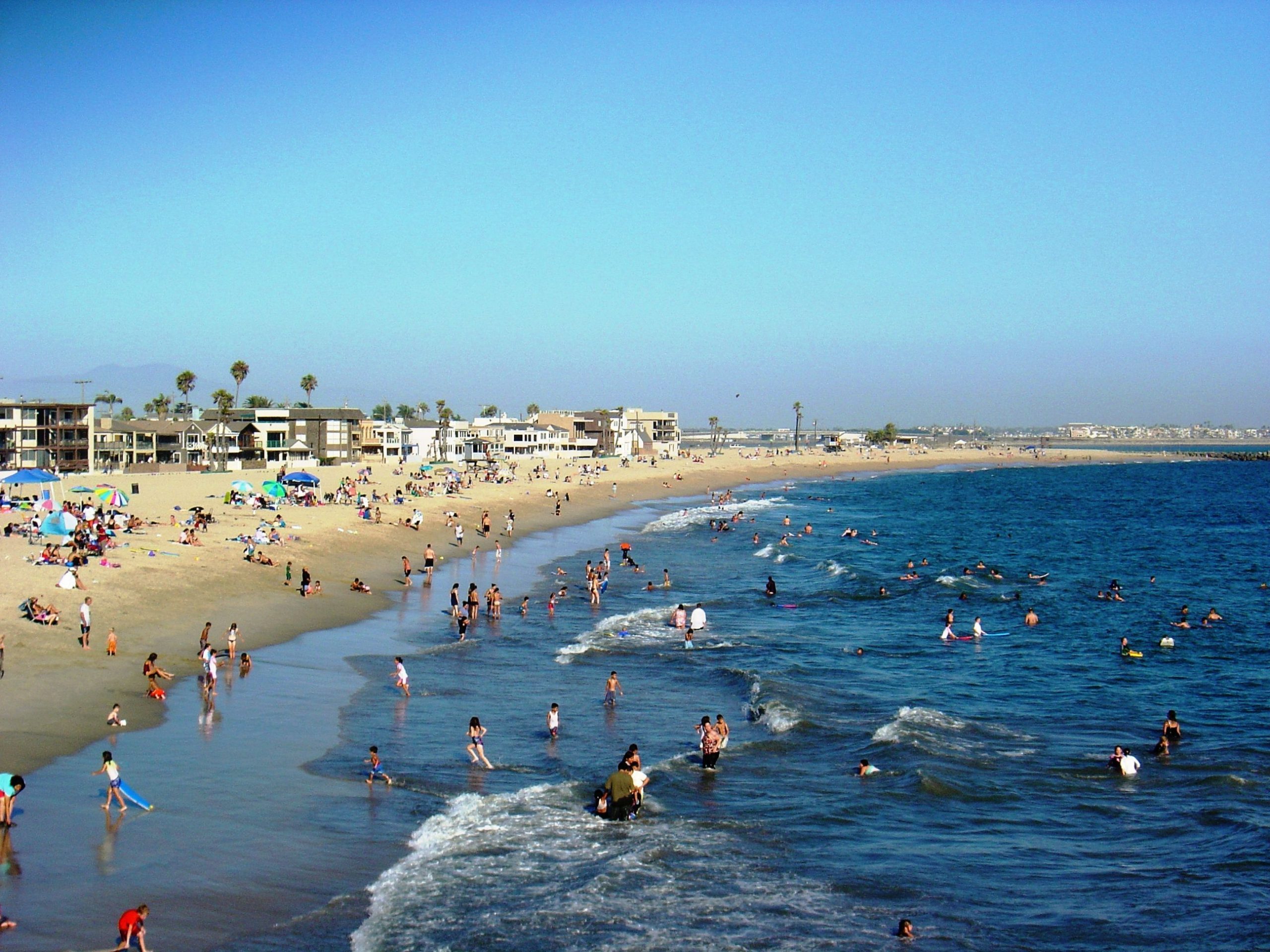 La ruée sur les plages californiennes inquiète les spécialistes